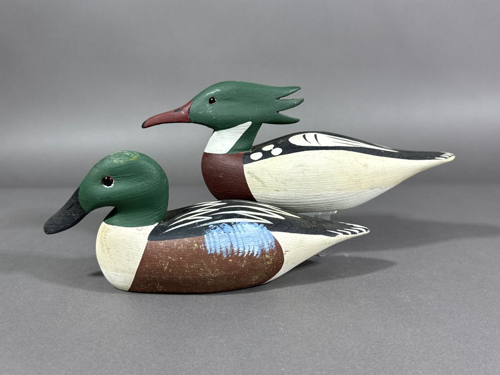 Daniel Bundick, VA, Merganser/Shoveler