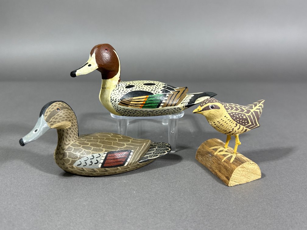 Ira James Thornes, Guilford, VA, Pintails/Yellow Rail