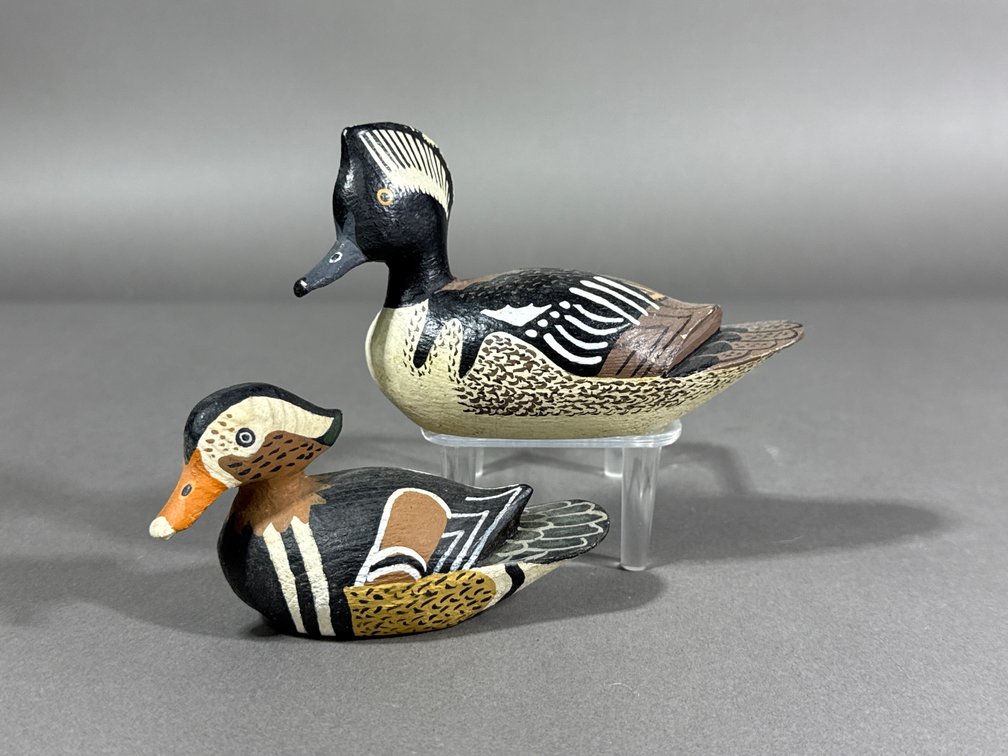 Ira James Thornes, Guilford, VA, Merganser/Mandarin Duck