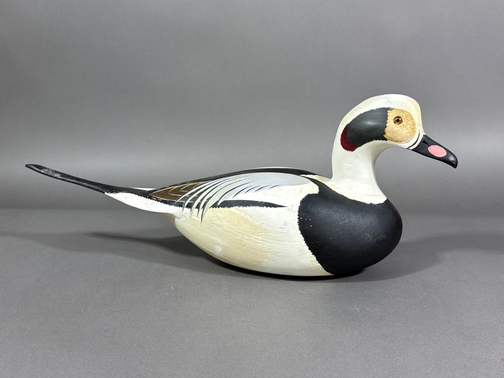 Lou Reineri, Chincoteague, VA, Old Squaw