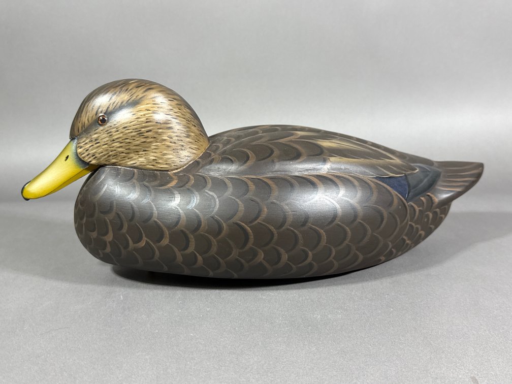 Frank McCauley, NJ, Black Duck