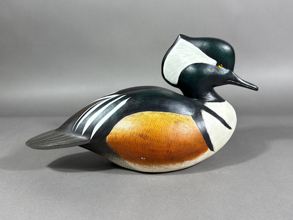 John Lawrence, Pittsburg, PA, Hooded Merganser