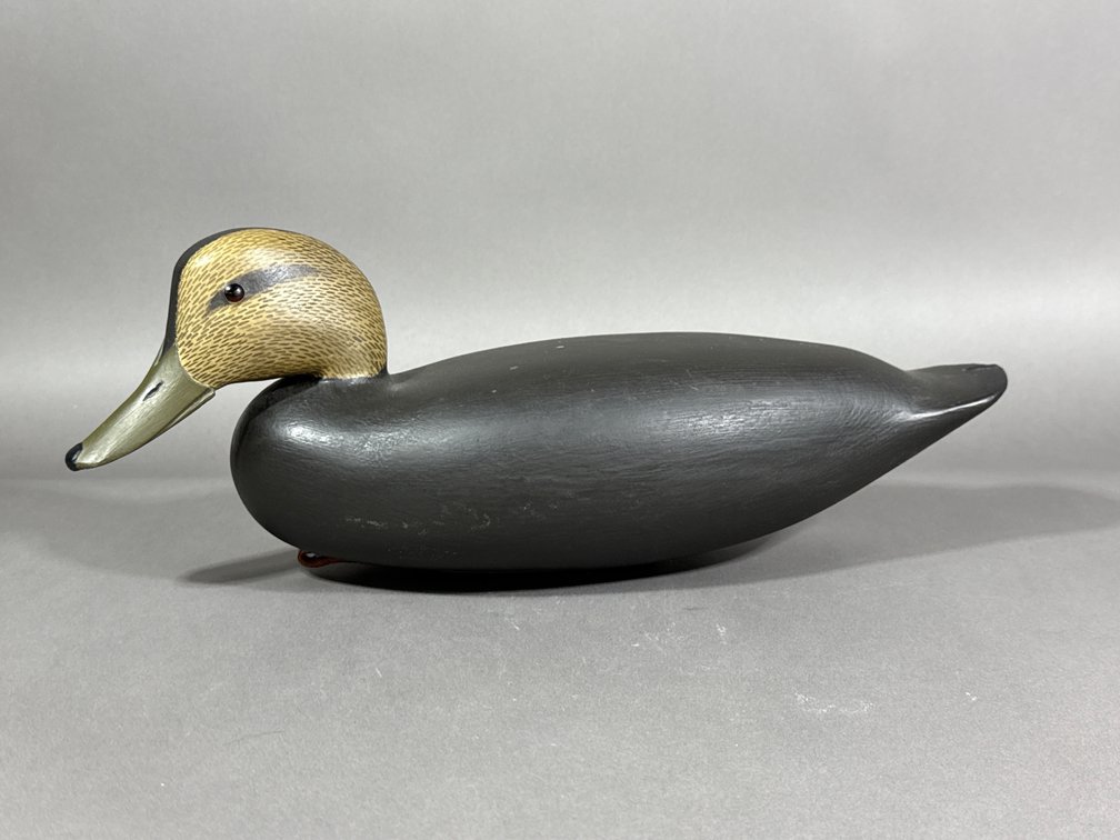 Black Duck Signed Birch