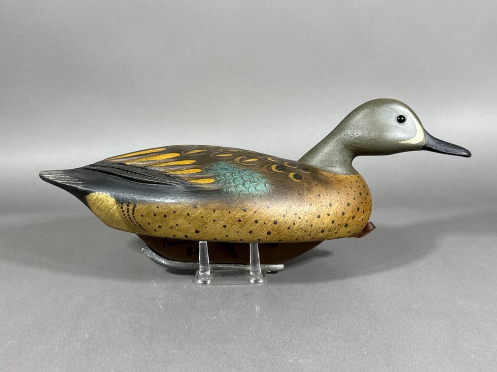 Darkfeather Freedman, MI, Blue Wing Teal