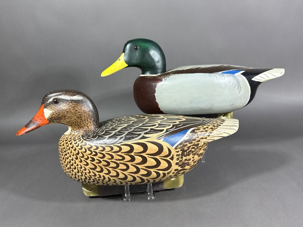 Dennis Delaney, NJ, Mallard Pair