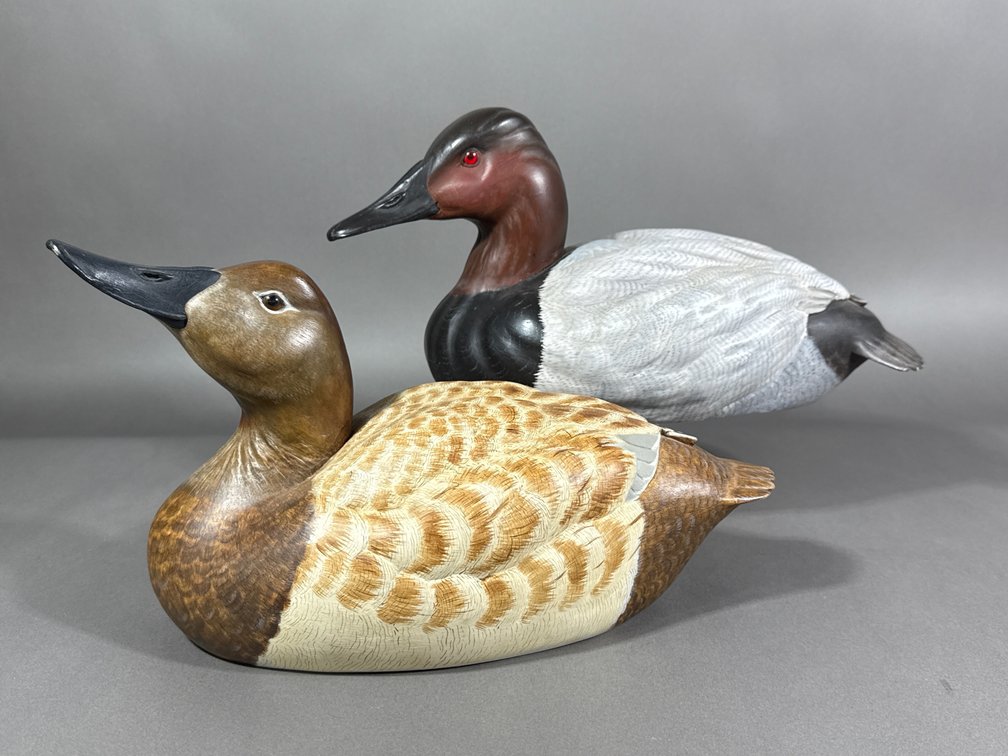 Charlie Prinz, Dayton, OH, Canvasback Pair