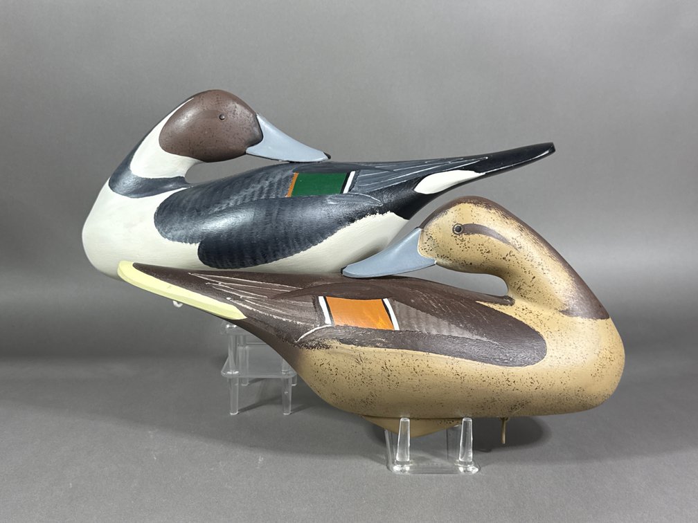 Jimmy Pierce, Havre de Grace, MD, Pintail Pair