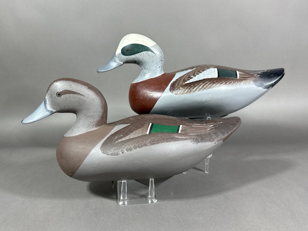 Jimmy Pierce, Havre de Grace, MD, Wigeon Pair