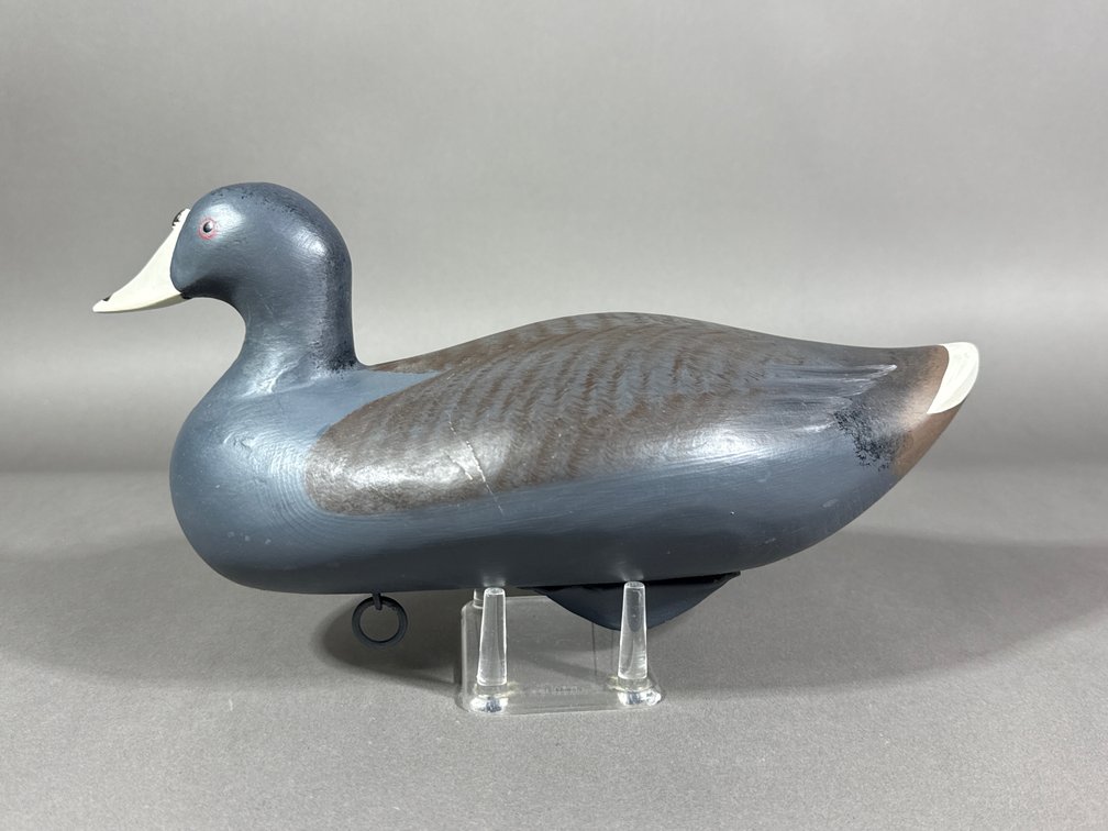 Jimmy Pierce, Havre de Grace, MD, Coot