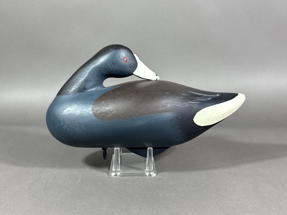 Jimmy Pierce, Havre de Grace, MD, Coot
