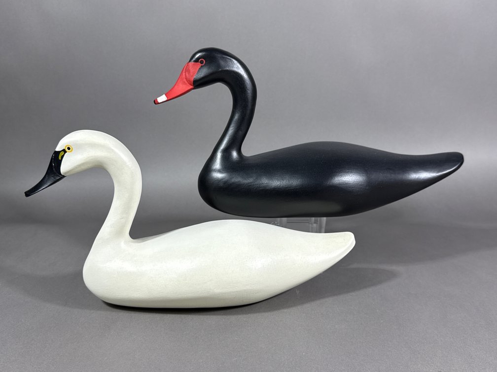 Jimmy Pierce, Havre de Grace, MD, Swans 