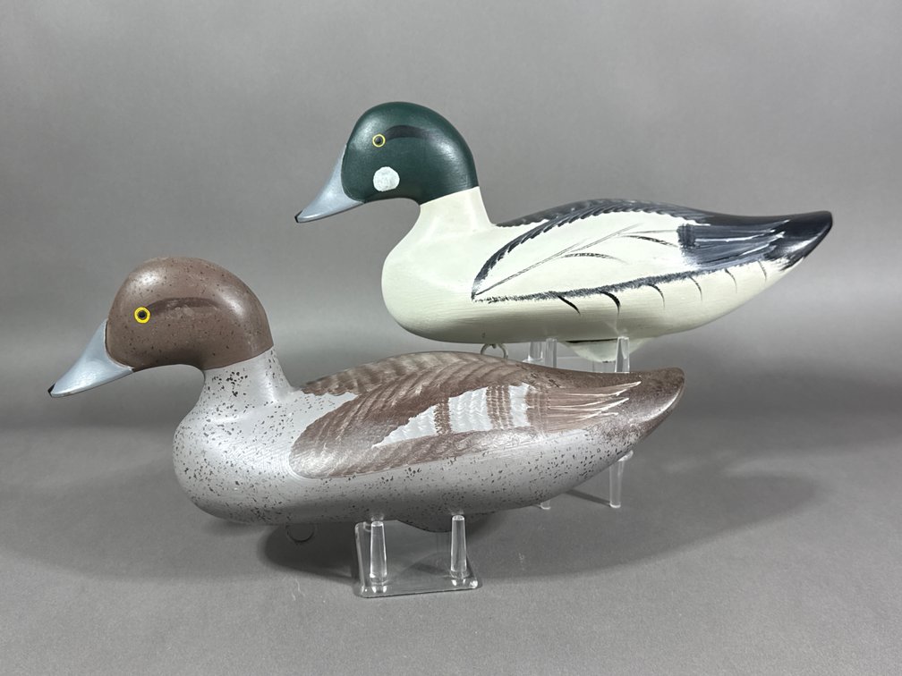 Jimmy Pierce, Havre de Grace, MD, Goldeneye Pair