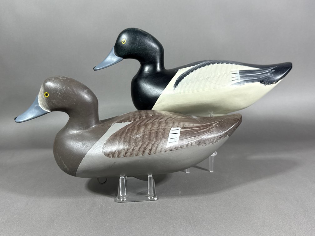 Jimmy Pierce, Havre de Grace, MD, Bluebill Pair