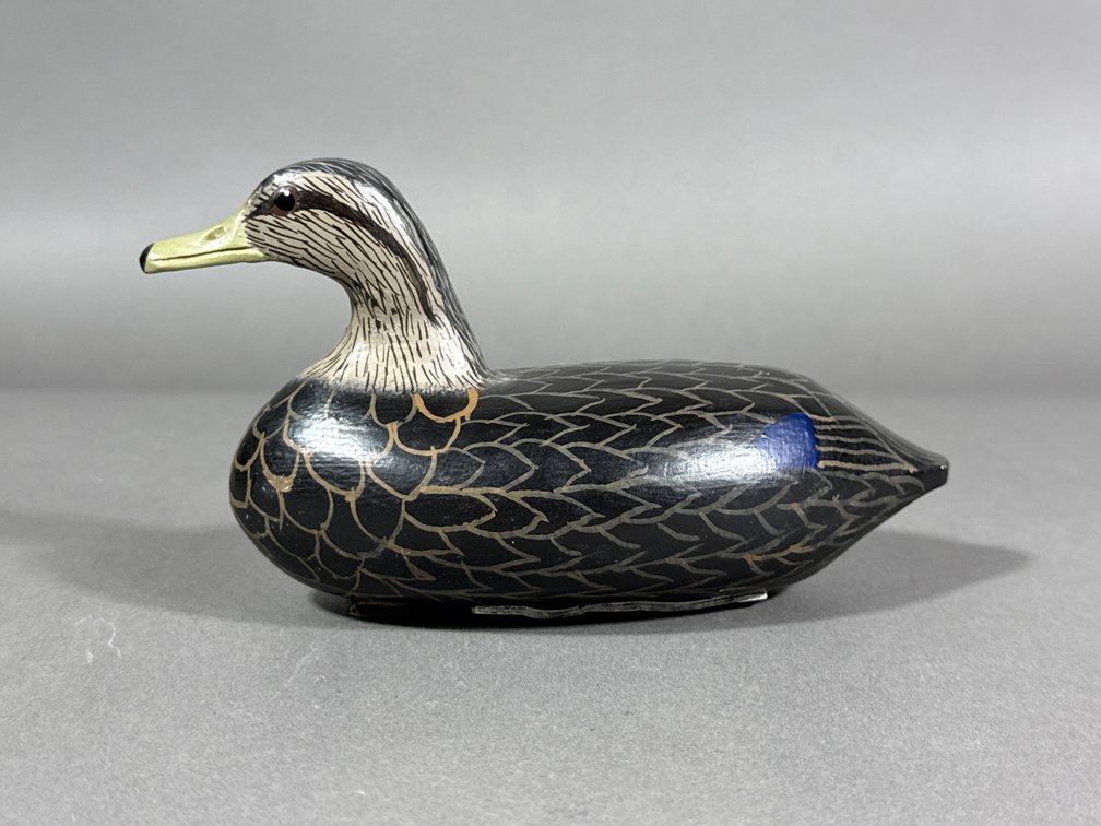 Robert Litzenberg, Elkton, MD, Black Duck