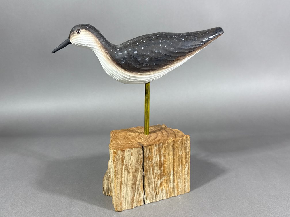 Sue Jester, Chincoteague, VA, Peep