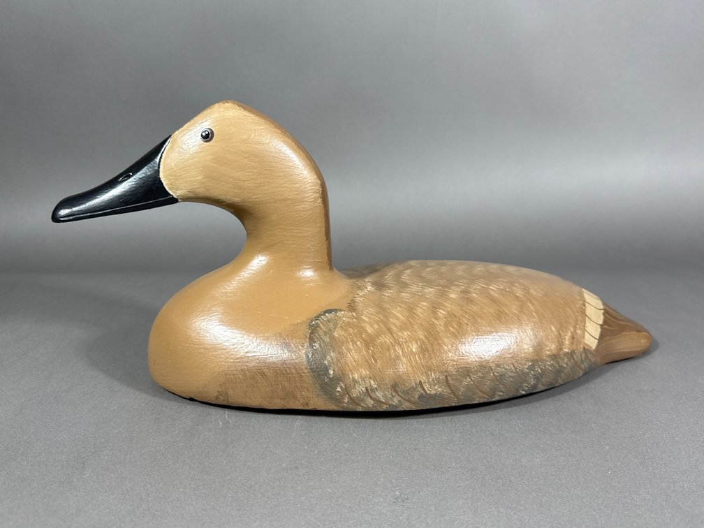 Robert Litzenberg, Elkton, MD, Hen Canvasback