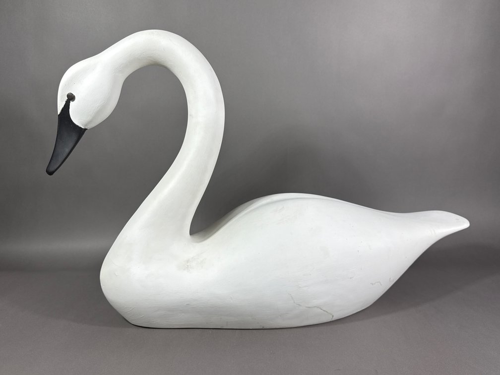 Swan Marked DBH