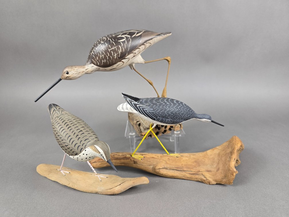 3 Contemporary Shorebirds