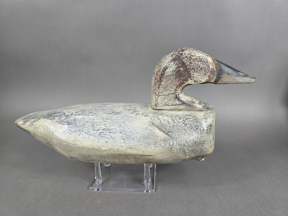 Al Thomas Canvasback