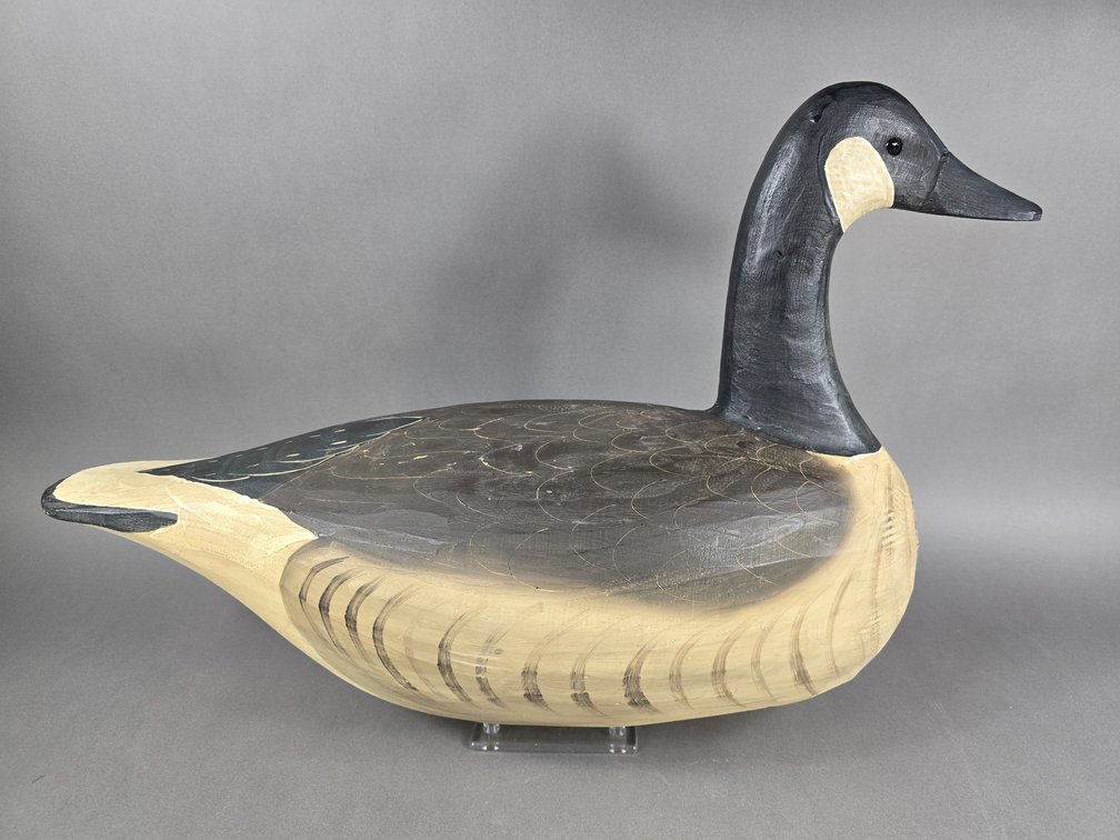 Jimmy Bowden,  Assawoman, VA Canada Goose