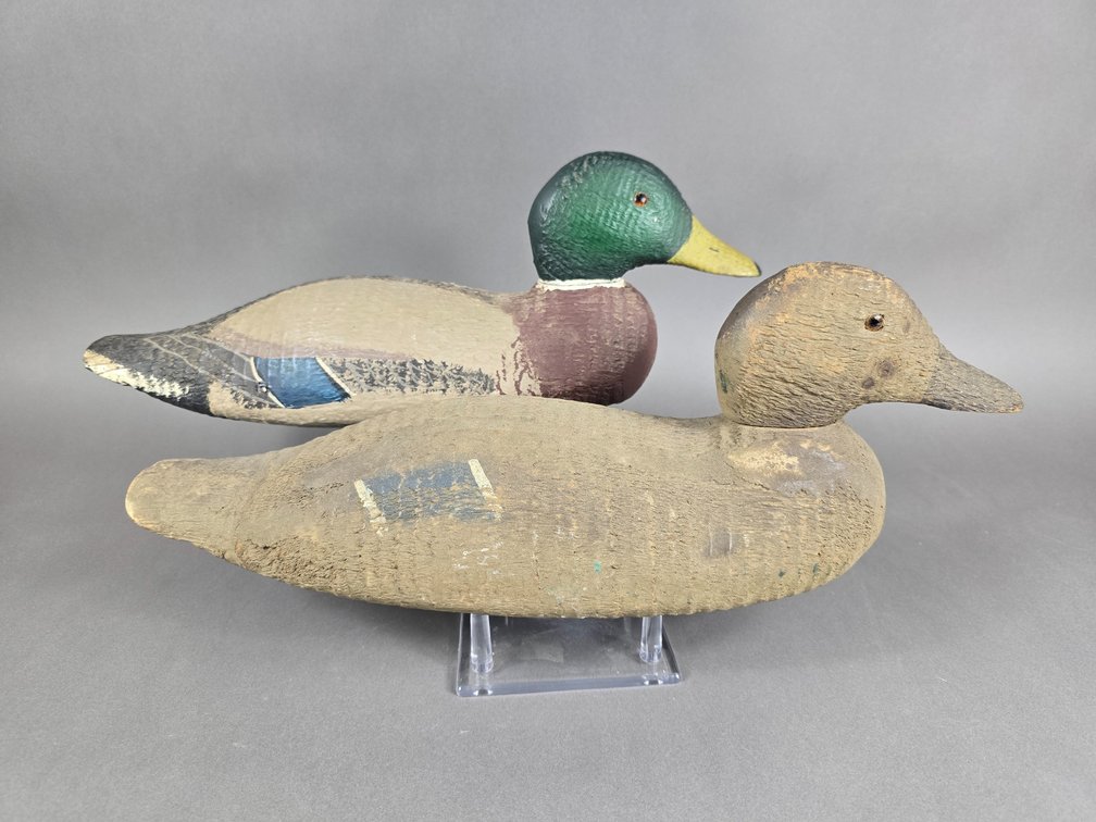 Victor Animal Trap Factory Mallard Pair 