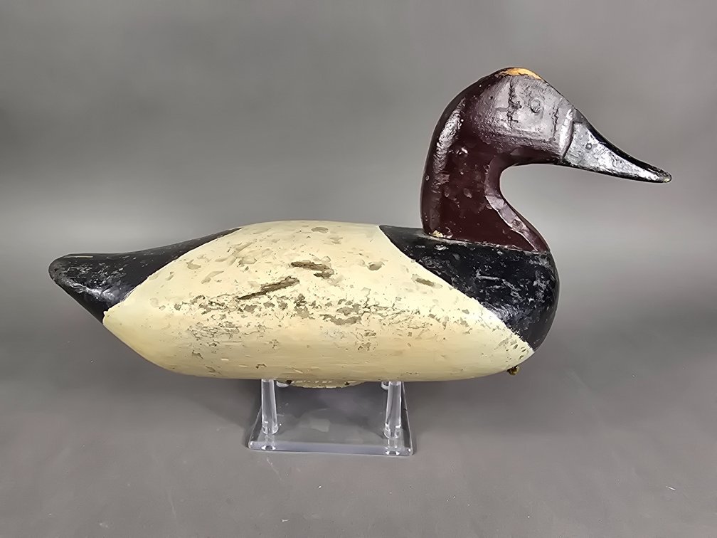 Sam Barnes, Havre de Grace,  MD Canvasback 