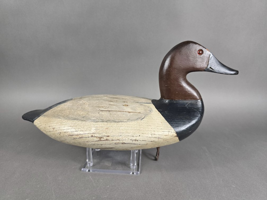 Canvasback, Unknown Maker