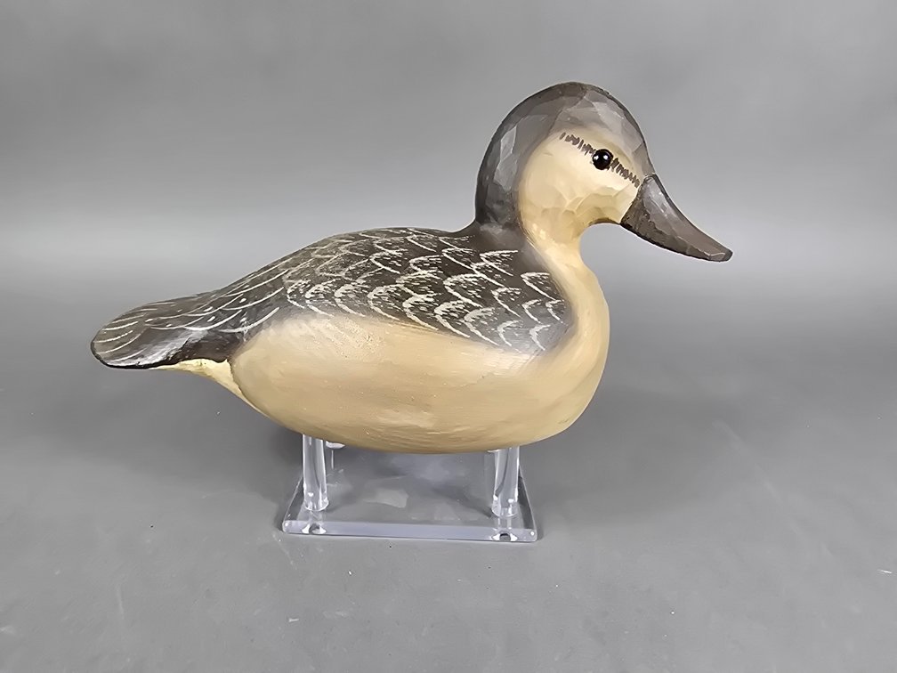 Jimmy Bowden Assawoman,  VA Ruddy Duck 