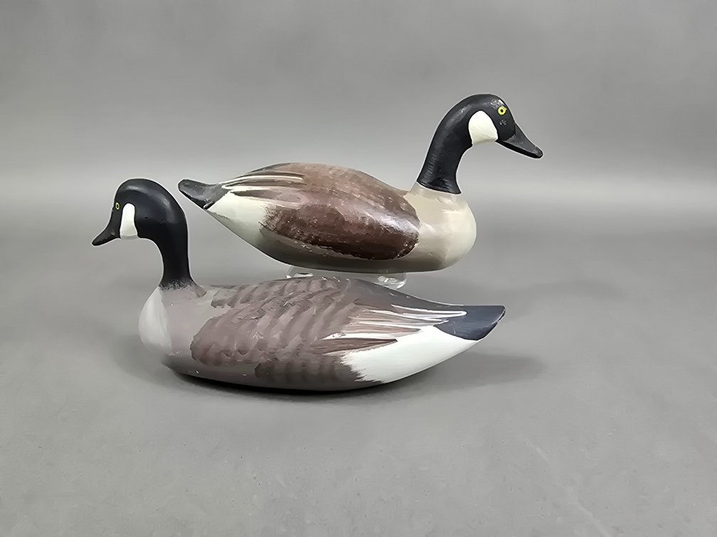 Ed Sampson/Bob Jobes, MD, Canada Geese