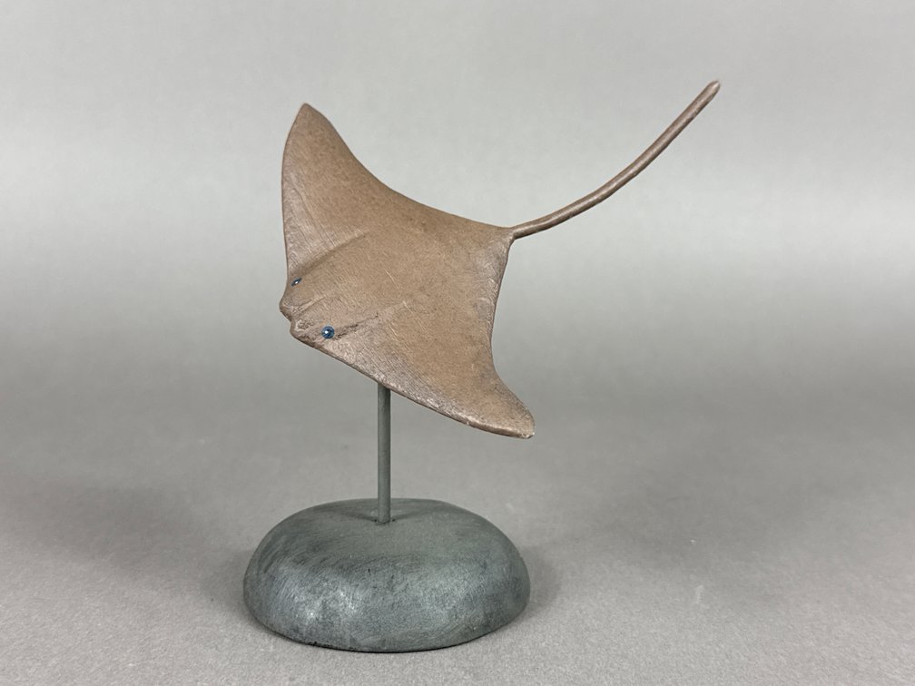 Logan Parker, Cheriton, VA, Sting Ray