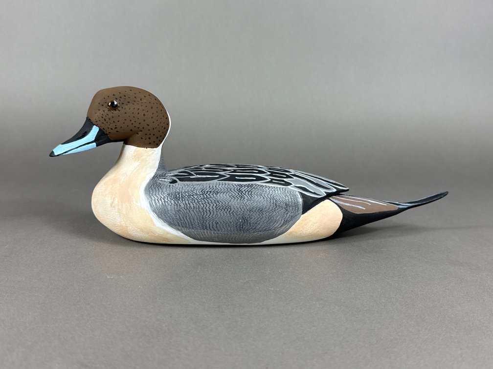 Upshur Taylor, New Church, VA, Pintail