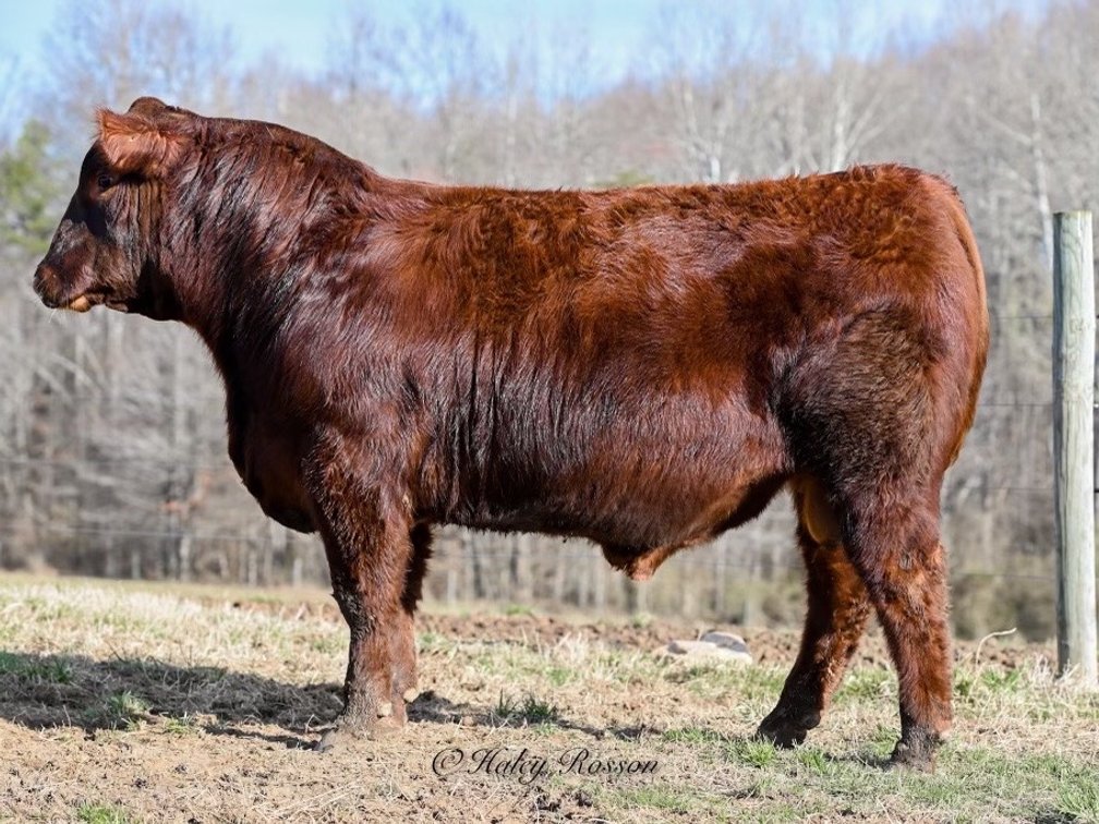 Quaker Hill Power Play J923