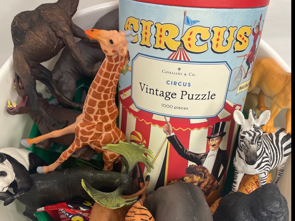 Circus fun