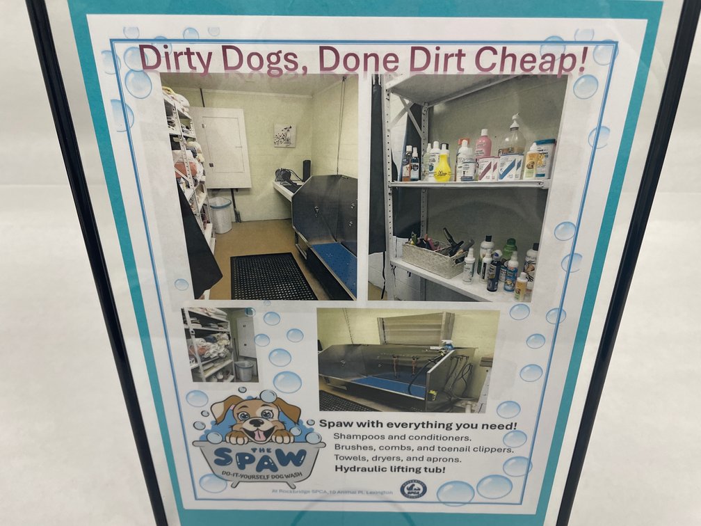 The Spaw Dog Wash