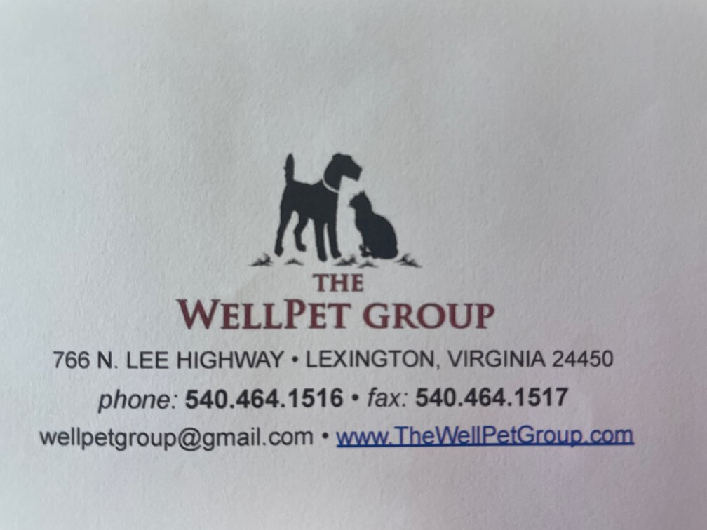 Teeth Cleaning for your pet