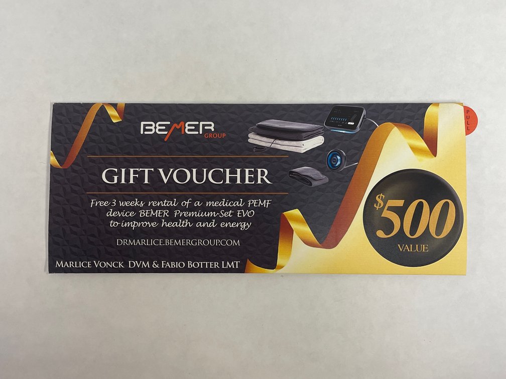 3-week rental BEMER Premium Set EVO Health & Wellness Device for HUMANS
