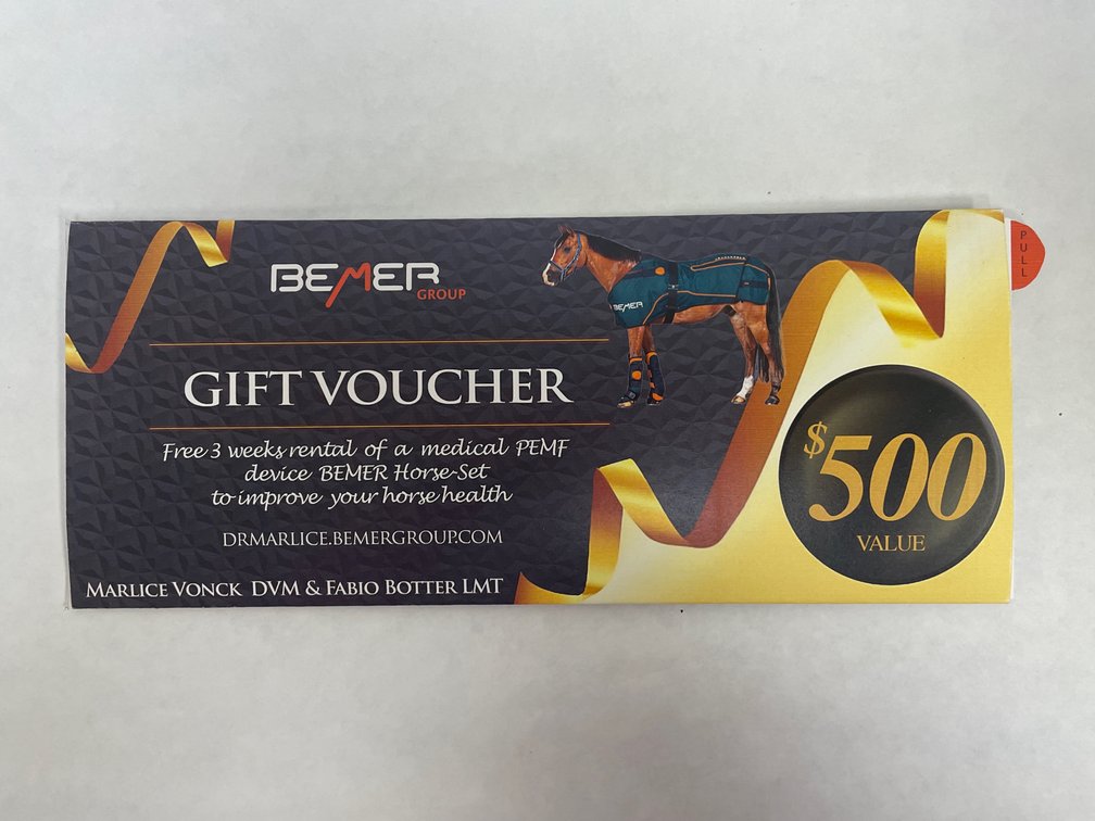 3-week rental BEMER Horse-Set Health & Wellness Device for Horses Rental 