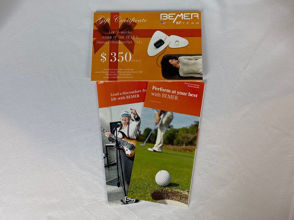 Rental of BEMER Human Premium Set