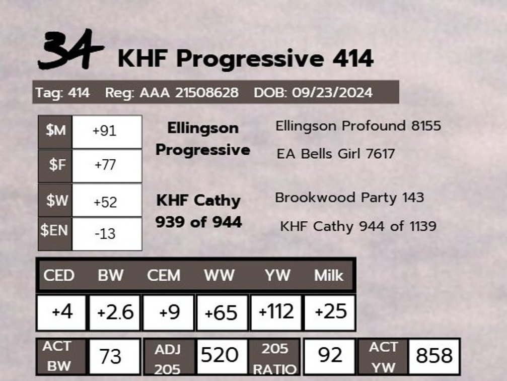 KHF Progressive 414-Angus