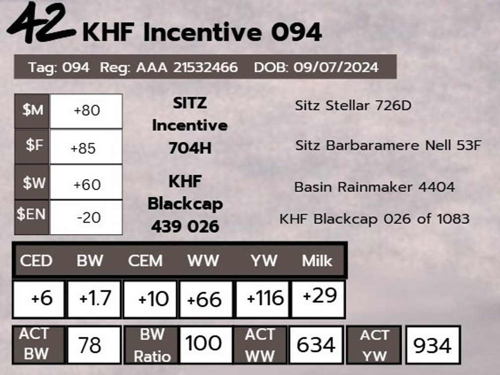 KHF Incentive 094- Angus