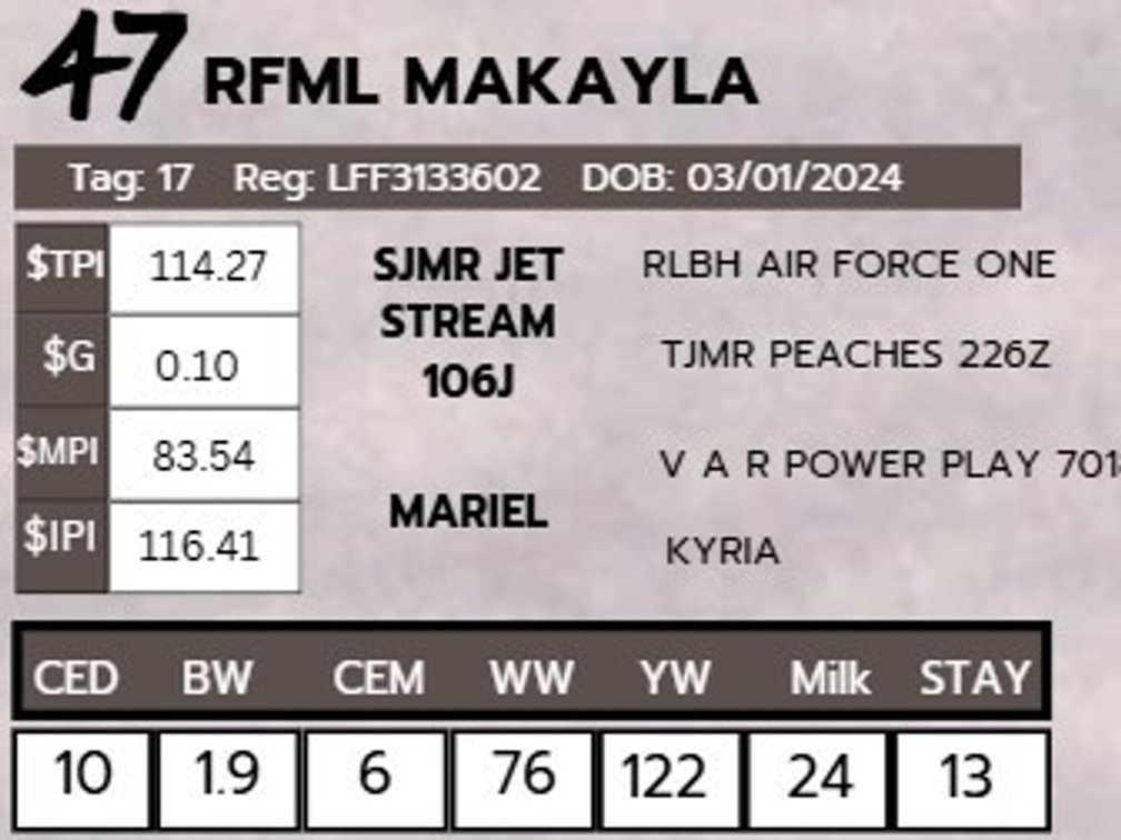 RFML MAKAYLA- LimFlex