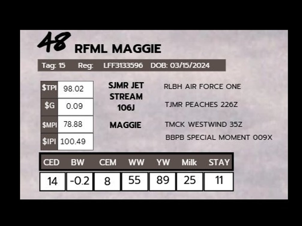 RFML MAGGIE- LimFlex