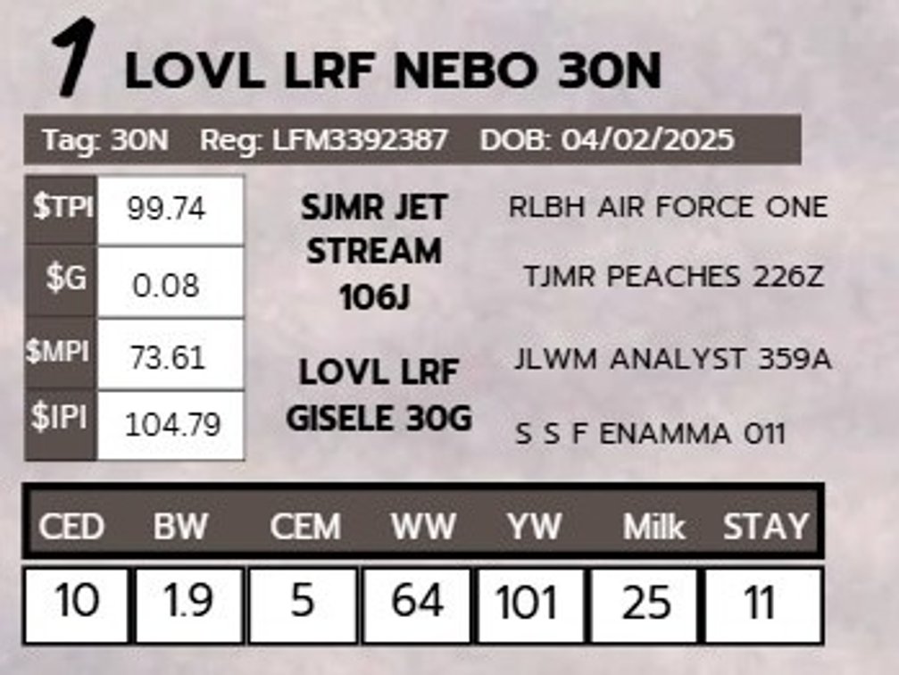 LOVL LRF NEBO 30N- LimFlex