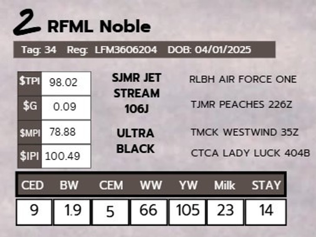 RFML Noble- LimFlex