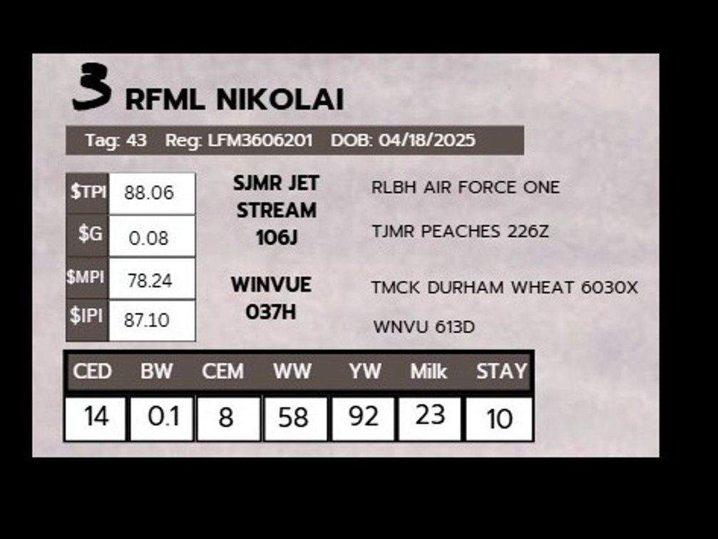 RFML NIKOLAI- LimFlex
