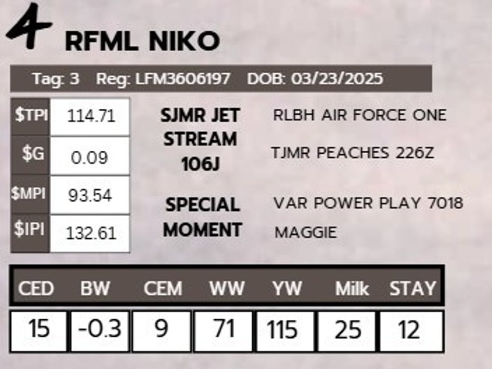 RFML NIKO-LimFlex