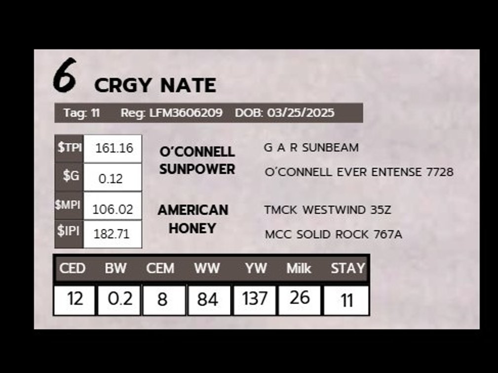 CRGY NATE- LimFlex