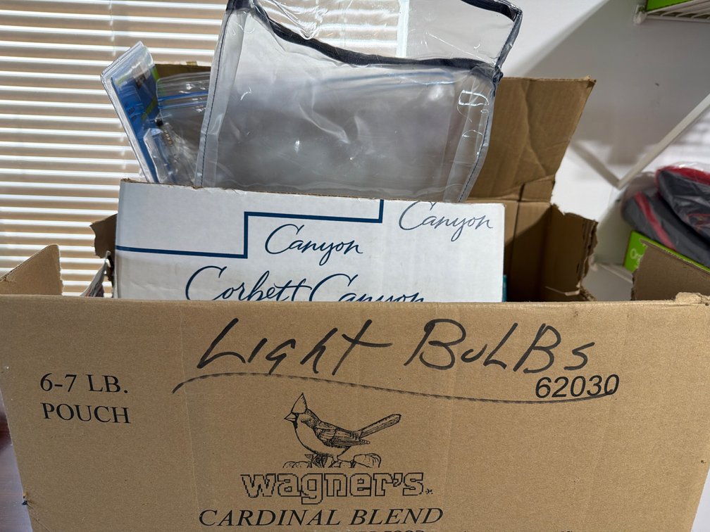 Light Bulbs