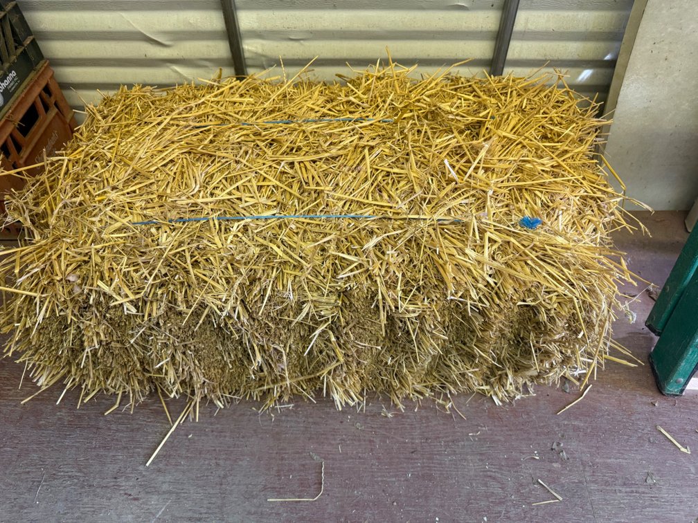 Compressed Straw Bale for Agricultural Use