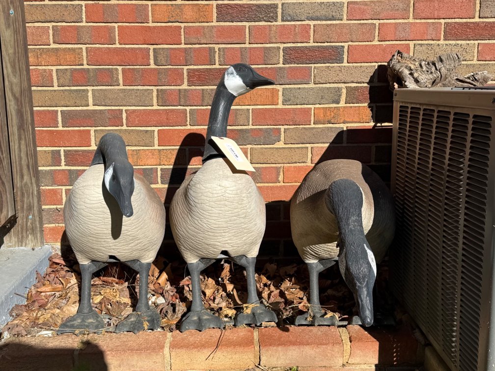 Three Painted Goose Decoys